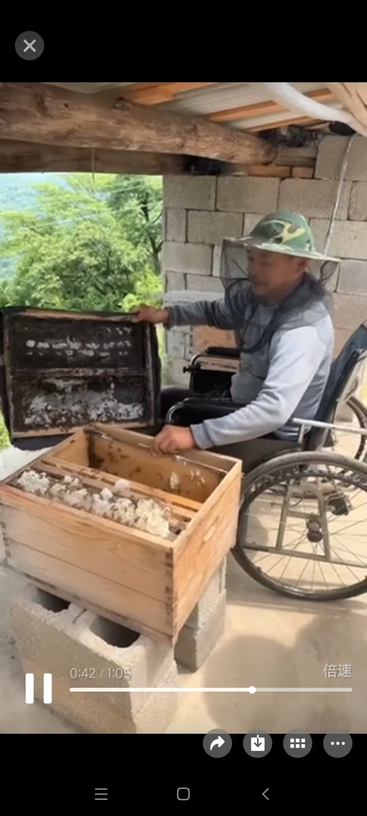 微信图片_20250613085401