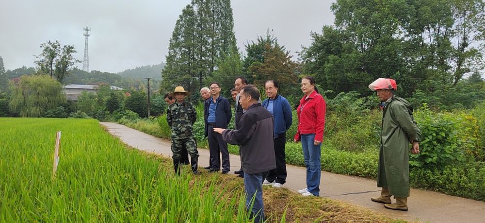 C:\Documents and Settings\Administrator\桌面\微信图片_20250919152551.jpg