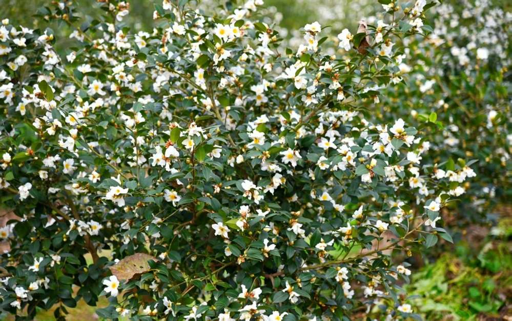 D:\Backup\Documents\WeChat Files\wxid_r3euuuxra13122\FileStorage\Temp\0c3614f1ff9ed4d661b59eb1038b815.jpg