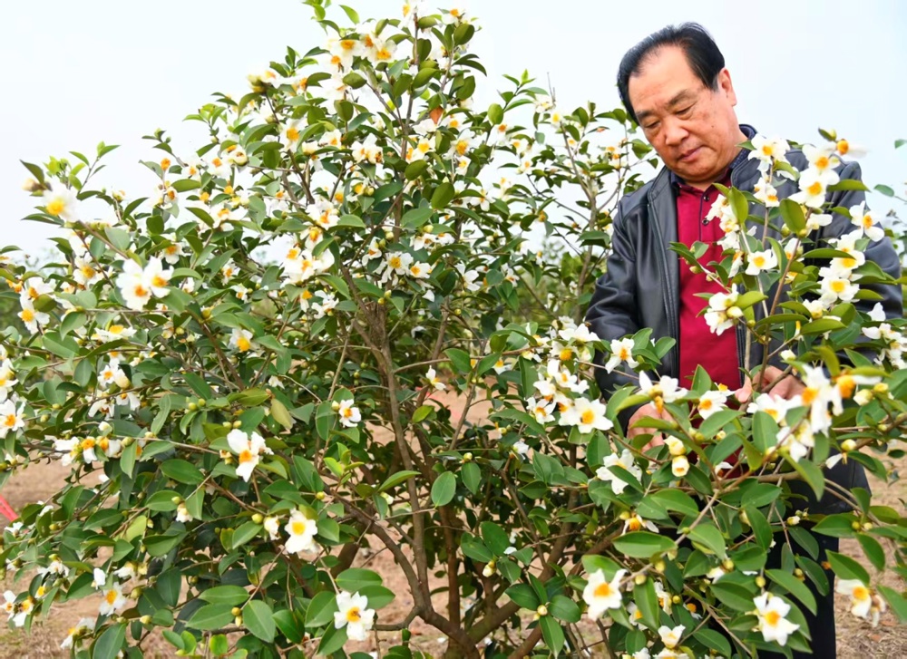 D:\Backup\Documents\WeChat Files\wxid_r3euuuxra13122\FileStorage\Temp\152d17941fef643591dd354972ecf37.jpg